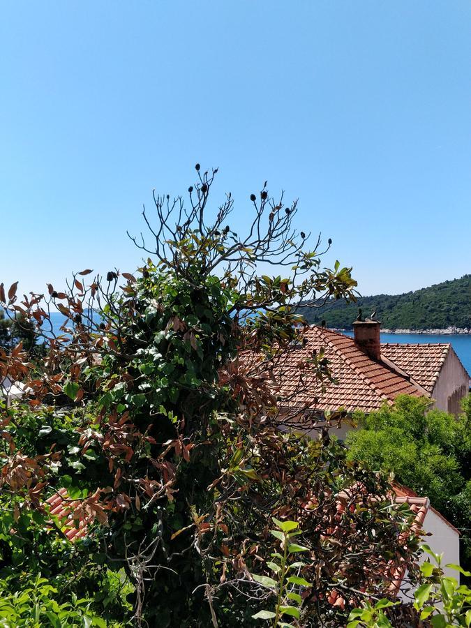 Adriatic Apartments Ντουμπρόβνικ Εξωτερικό φωτογραφία