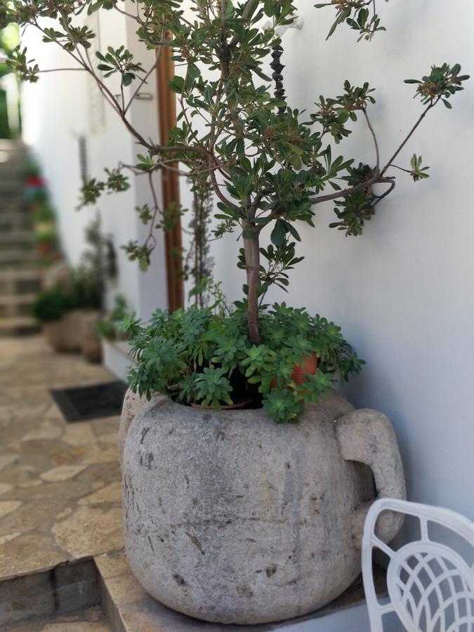 Adriatic Apartments Ντουμπρόβνικ Εξωτερικό φωτογραφία